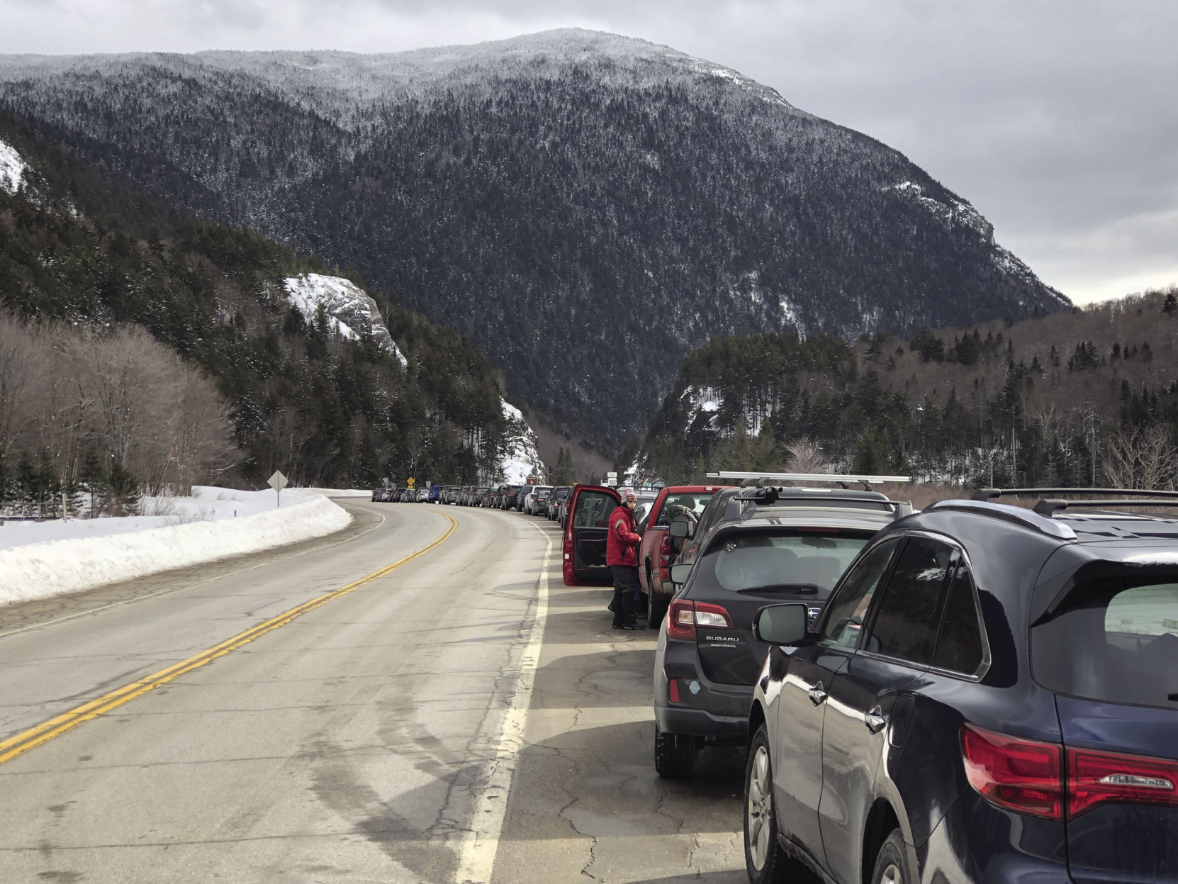 2-22-20 VV traffic elephant's head.jpg